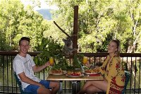 Hartley's Crocodile Adventures Entry Ticket and Breakfast with the Koalas - Accommodation Cooktown