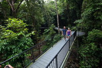 4-Day Cairns with Great Barrier Reef and Daintree Rainforest - Accommodation Nelson Bay