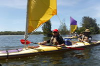 Full-Day Guided Noosa Everglades Kayak Tour - Accommodation Kalgoorlie