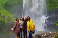 Small Group Tour Max 6 Gold Coast Super 7 Waterfalls Tour Springbrook - Accommodation Main Beach