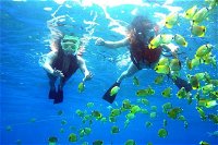 Guided Snorkel with Fish Tour at Wavebreak Island Gold Coast - Accommodation Cairns