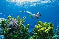 Full Day Snorkel In The Great Barrier Reef - Broome Tourism