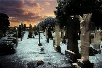 Southport Cemetery Paranormal Activity Tour QUEENSLAND - Newcastle Accommodation