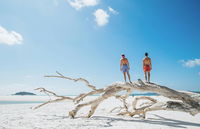 Whitehaven Beach  Hill Inlet Chill and Grill - eAccommodation