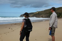 Tropical Beach Adventure - Private 4X4 Day Tour with Pickup - Accommodation Nelson Bay