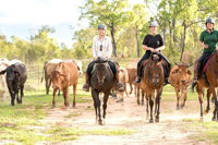 Ride the Outback at Ironbark House Dimbulah Horse Riding - Accommodation Main Beach