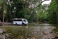 3 Day Cape Tribulation  Cooktown Tour from Cairns or Port Douglas - Whitsundays Tourism