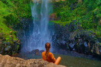 Private Tour - Rainforest  Waterfalls Extravaganza - Carnarvon Accommodation