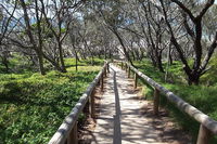 Self-guided Coast Walks - Noosa To Sydney 6 Days  Dep 25 Sep 2019 24 Sep 2020 - Attractions Brisbane