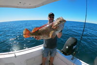 Full Day 9 Hour Offshore Fishing Charter - Accommodation Bookings