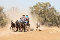 Cobb and Co Stagecoach Experience - Tourism Cairns