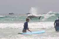 3.5-Hour Ultimate Learn to Surf Adventure - SA Accommodation