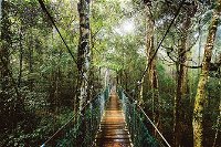 O'Reilly's  Lamington National Park from Gold Coast - Accommodation Perth