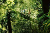 OReillys Rainforest Retreat and Winery Day Tour from Nerang - SA Accommodation