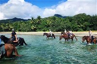 Afternoon Beach Horse Ride in Cape Tribulation - Accommodation Daintree
