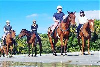 Mid-Morning Beach Horse Ride in Cape Tribulation with Pick Up - Accommodation Brunswick Heads
