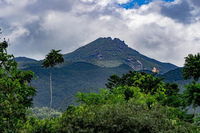 Port Douglas Daintree National Park Boutique Full-Day Tour - Accommodation in Bendigo