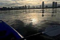 Surfers Paradise Sunset Kayak and Dinner - Accommodation Gold Coast