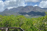 Hinchinbrook Island Tour - Tourism Canberra