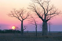 8-Day Outback Experience from Queensland - Accommodation Search