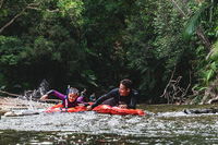 Mossman Gorge Adventure Day - Accommodation in Surfers Paradise