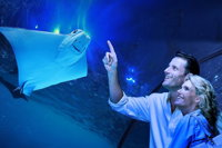 Cairns Aquarium Tour by Twilight with Drink and Appetiser