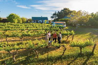 Barossa Valley Highlights from Barossa Valley Including Wine and Cheese Tasting - Tweed Heads Accommodation