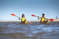 Kangaroo Island Self-Guided Kayaking on the Harriet River - Accommodation Hamilton Island