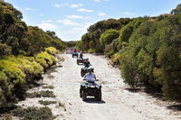 Quad Bike ATV Tours - SA Accommodation