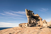 Kangaroo Island Luxury Small Group 'Flinders Chase Focus' Full Day Tour - Accommodation Kalgoorlie