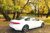 Luxury Jaguar Barossa Valley Half Day Private Tour For 2 - Accommodation Daintree