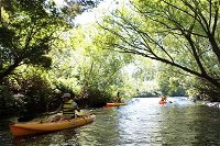 Paddle with the Platypus Twilight Kayak Adventure - Accommodation Search