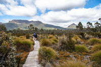 Cradle Mountain Day Tour - Hotel Accommodation