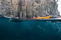 Tasman Peninsula full day kayaking tour - QLD Tourism
