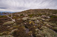 Alpine Loop - Accommodation Brisbane