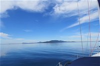 Maria Island and East Coast Five Day Cruise - Redcliffe Tourism