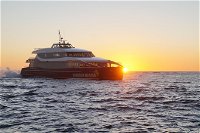 Afternoon Gordon River Dinner Cruise - departing 3pm - Accommodation Cooktown