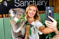Moonlit Sanctuary Wildlife Conservation Park Daytime General Entry Ticket - Accommodation Broome