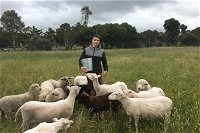 Feed the Animals at Heritage Farm - Tourism Brisbane