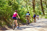 Cycle Tour  Self Guided  Mornington Peninsula Victoria  Wine Region - Accommodation Adelaide