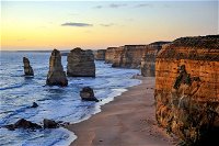 Great Ocean Road Tour Plus Koalas Forest Walk And Morning Tea. - Wagga Wagga Accommodation