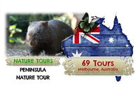 Peninsula Nature Tour - Accommodation Adelaide