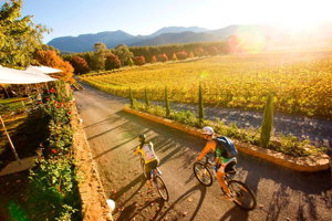 Feathertop Winery: Pedal and Picnic in the Vines