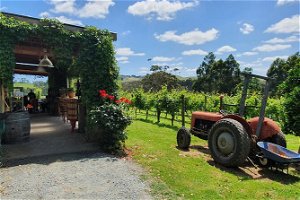 Foodie, Farm Gate & Wine Trail - Gourmet Gippsland from Melbourne