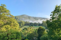 Hiking Tour to Aqueduct and Warburton Valley Lookout - Accommodation Mt Buller