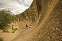 Wave Rock York Wildflowers and Aboriginal Cultural Day Tour from Perth - Accommodation Find