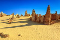 Full-Day Pinnacles Desert and Yanchep National Park Tour From Perth - Accommodation Find
