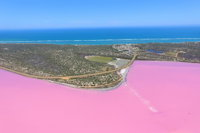 Pink Lake  Abrolhos Islands Nature Tour - Accommodation BNB