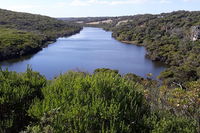 Explore Margaret Rivers' national parks on a guided Cape to Cape track walk - Great Ocean Road Tourism