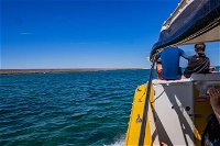 Ningaloo Immersion Private Charter - Attractions